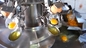 산업용 고액 공정 라인 완전 자동 계란 노른자 흰색 파기 분기 분기 분기 분기 기계