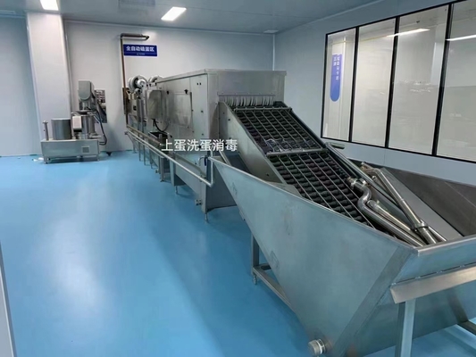 500-30000L / H 맞춤형 계란 처리 라인 완전 계란 생산 공장 PLC와 함께 계란 액체 기계