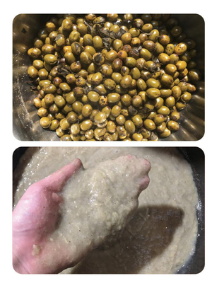 아카이 베리 펄프 처리 기술 및 기계 / 아카이 베리 펄프 제조 공장